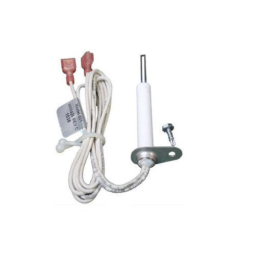 Jandy Igniter Replacement Kit | R0367100