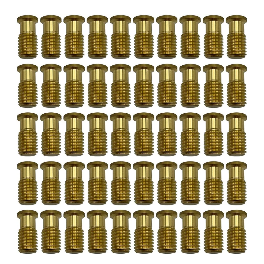 Poolzilla Threaded Brass Screw for Anchor