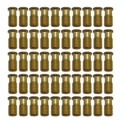 Poolzilla Threaded Brass Screw for Anchor
