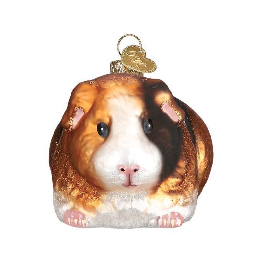 Old World Christmas Guinea Pig