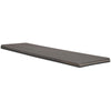 S.R. Smith 66-209-598S20T Frontier III Replacement Diving Board, 8-Feet, Pewter Gray