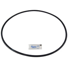 Pentair Orng Svc Kit | 27001-0061S