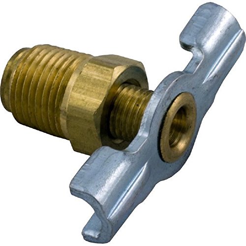 Raypak Drain Valve 1/8 Npt-Kit | 013793F