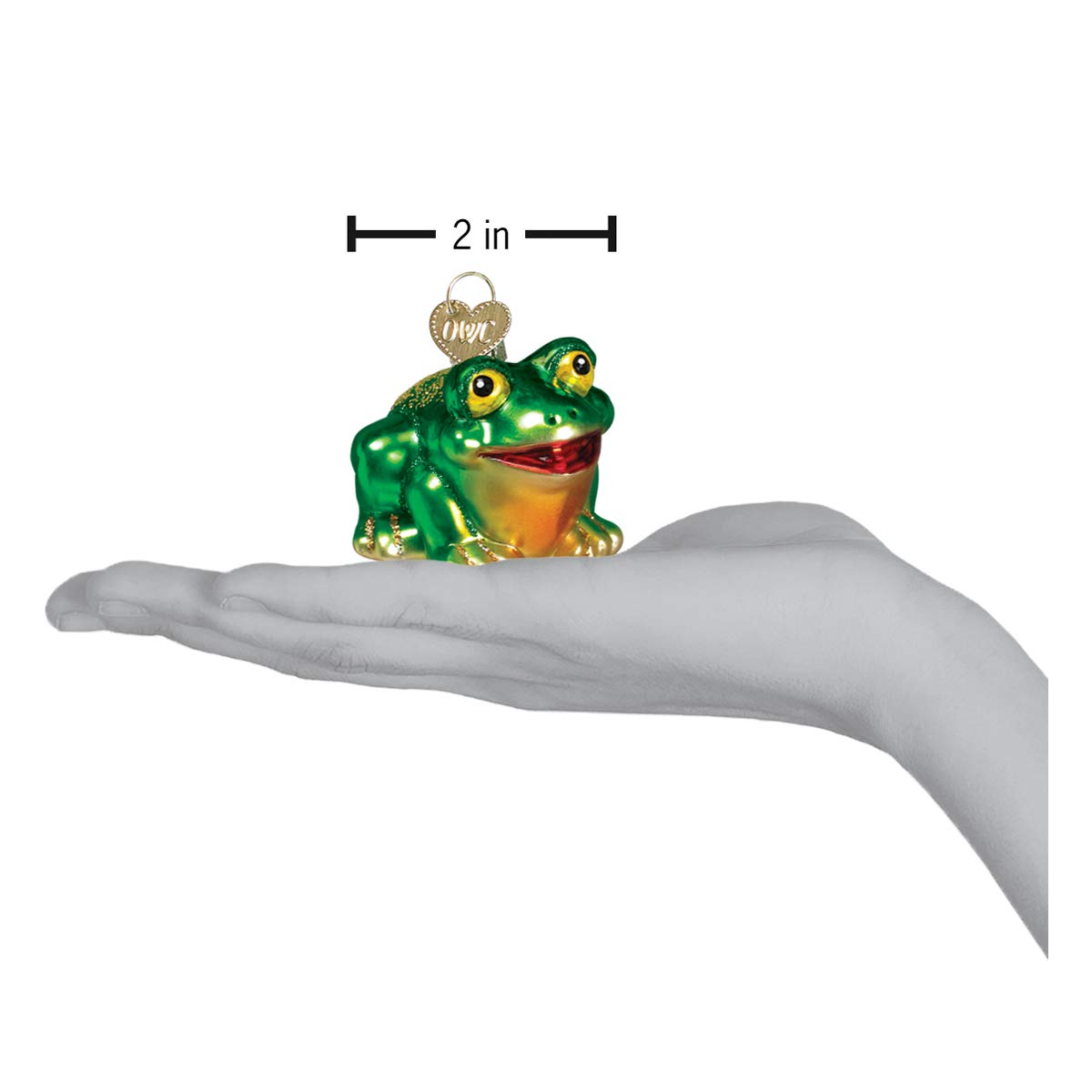 Old World Christmas Hop-Along Frog Glass Blown Ornament for Christmas Tree, Handcrafted Holiday Decoration, Wildlife Animal Collection