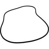 Hayward O-Ring 60 Duro | SX240Z1
