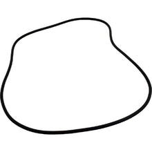 Hayward O-Ring 60 Duro | SX240Z1