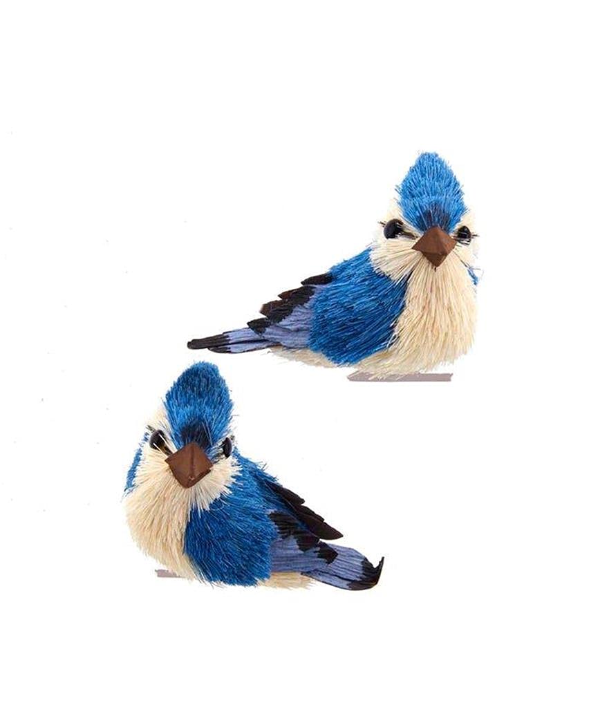 Blue Jay With Clip Ornaments, 2 Assorted