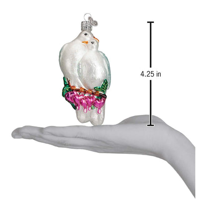 Old World Christmas Love Birds Glass Blown Ornament for Christmas Tree, Handcrafted Holiday Decoration, Bird Watcher Collection