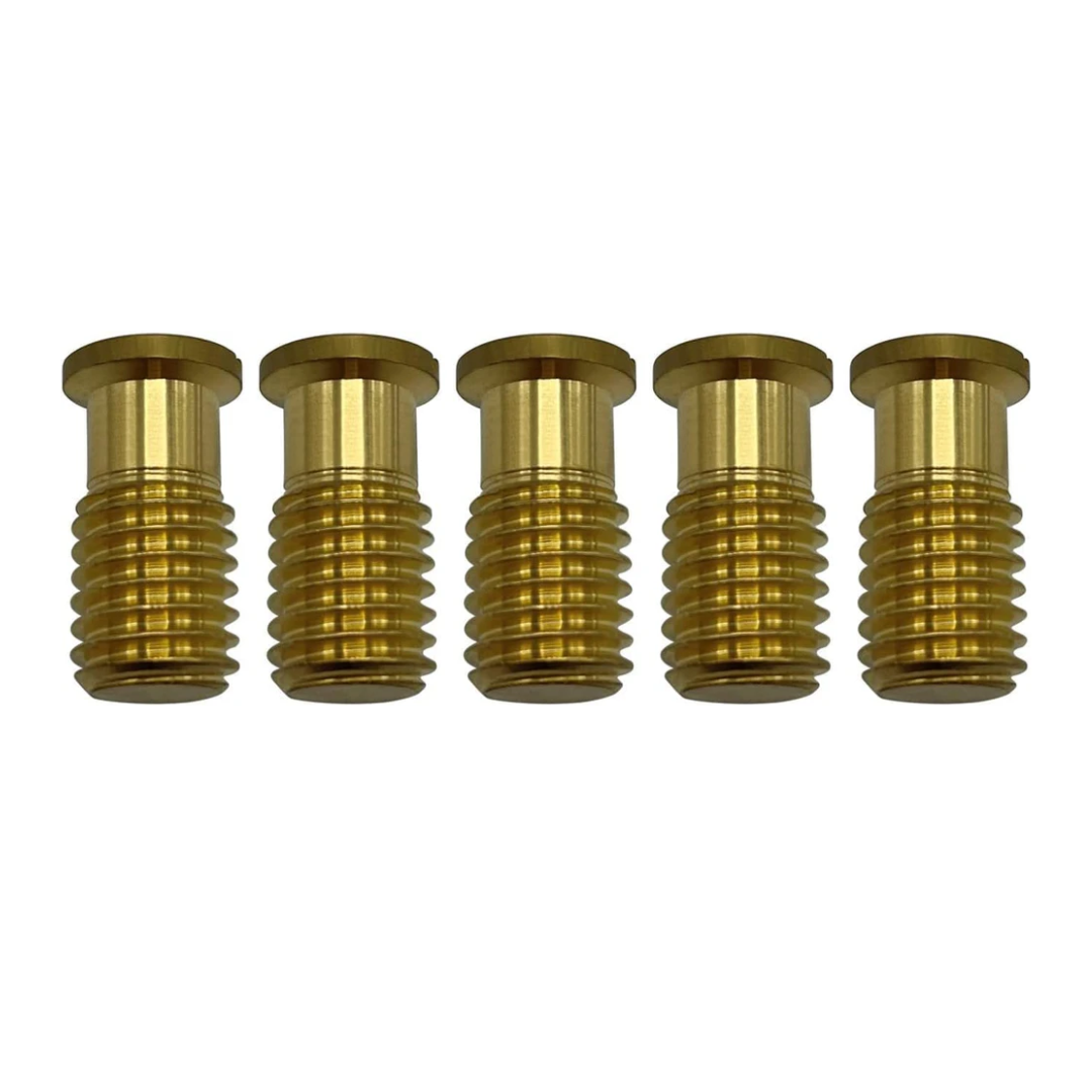 Poolzilla Threaded Brass Screw for Anchor