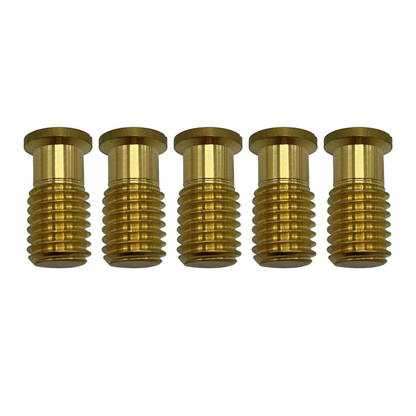 Poolzilla Threaded Brass Screw for Anchor