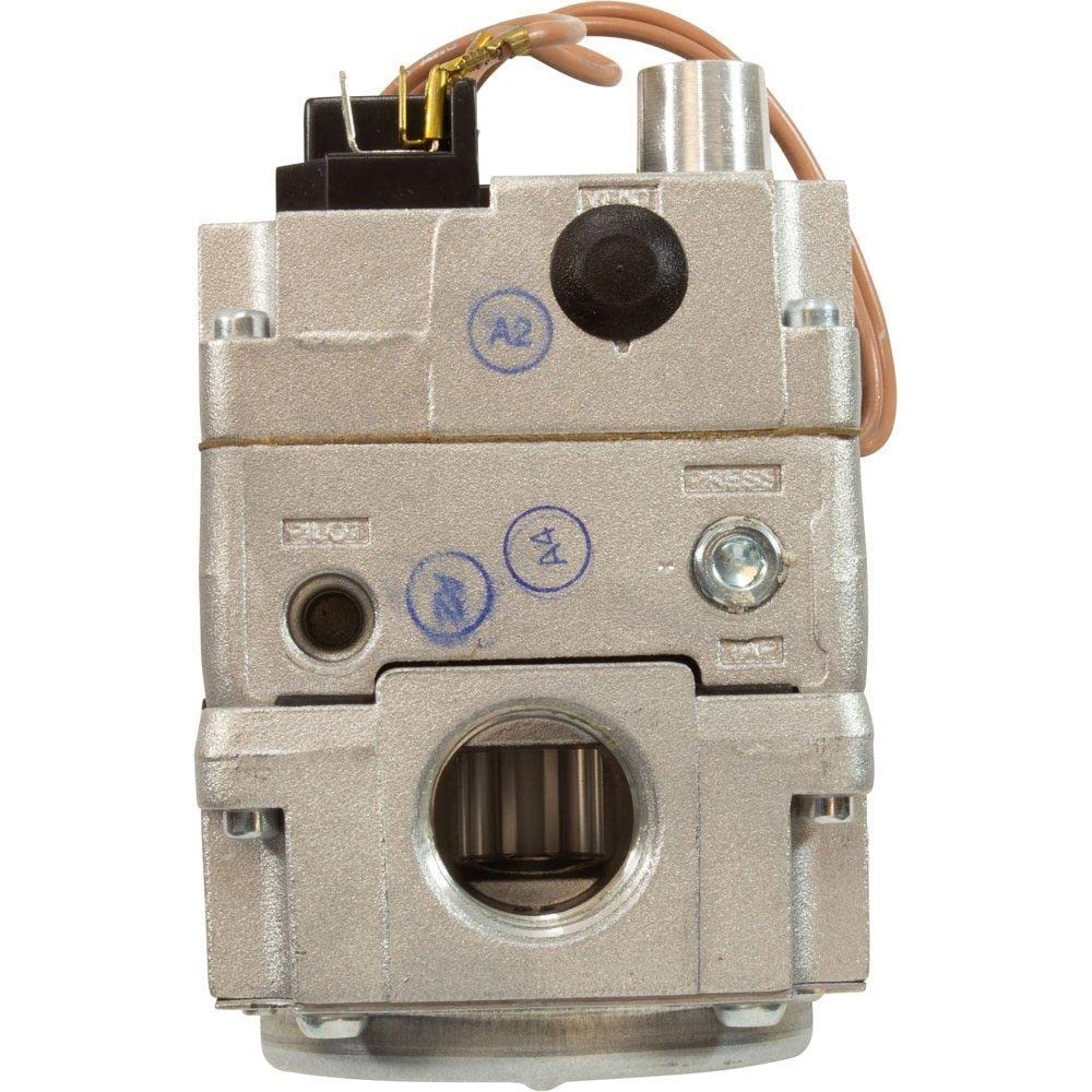 Jandy Pro Series Gas Valve | R0591400