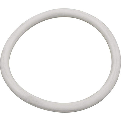 Pentair Pipe Asy Fns Lwr | 195308