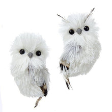 Kurt Adler 5.1in Silver Hanging Owl Christmas Ornament,Acrylic, 2 Assorted