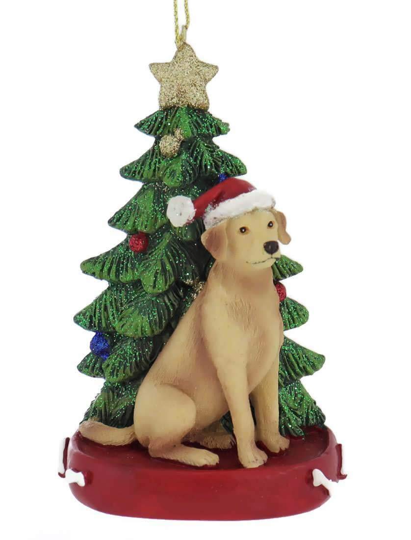 Kurt S. Adler Yellow Lab Labrador Wearing Santa Hat with Resin Christmas Tree Ornament C7954YLB