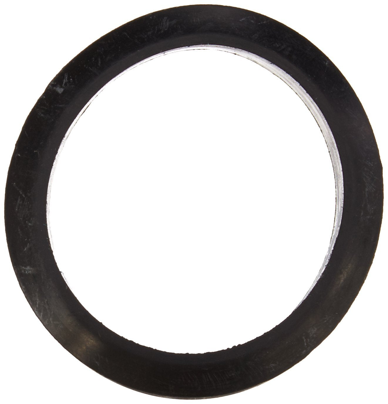 Jandy Pro Series Flange Gasket, 2