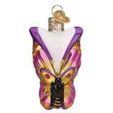 Old World Christmas Bright Butterfly Glass Blown Ornament for Christmas Tree