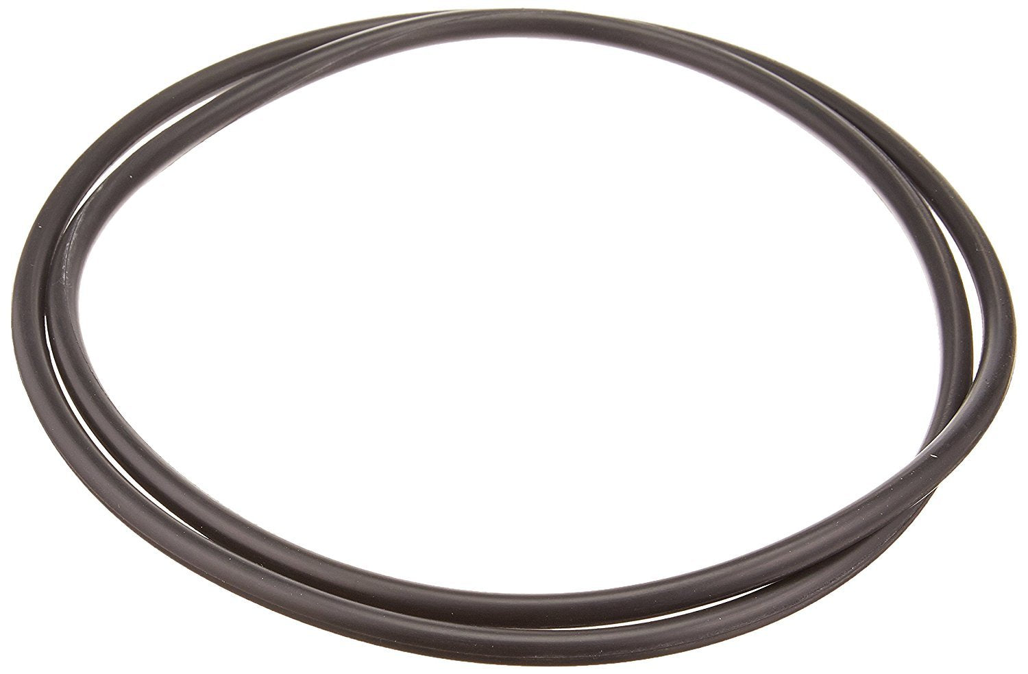 Hayward Body O-Ring | CCX1000G