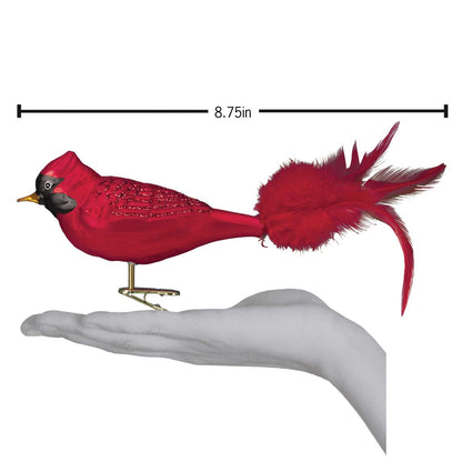 Old World Christmas Large Red Cardinal Glass Blown Ornament for Christmas Tree, Handcrafted Holiday Decoration, Bird Watcher Clip Collection