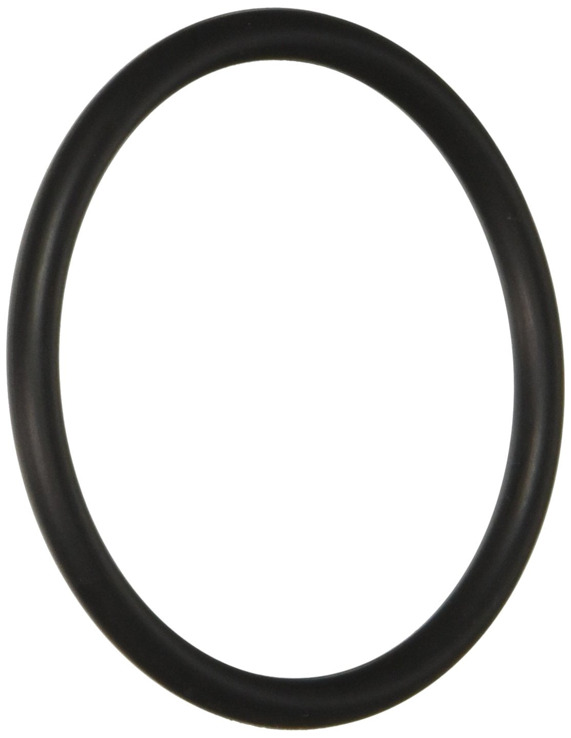 Hayward Large -O- Ring | SX220Z2