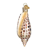 Old World Christmas 12465 Ornaments: Beach Shells Glass Blown Ornaments for Christmas Tree, Junonia Shell, Tan/Brown/White/Gold