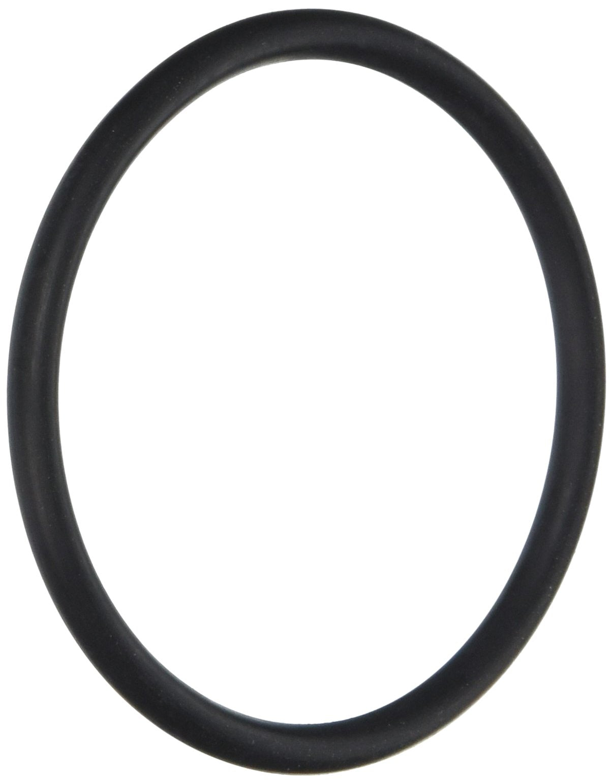 Pentair HiLite O-Ring | 79207100