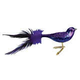 Old World Christmas Purple Martin Glass Blown Ornament for Christmas Tree, Handcrafted Holiday Decoration, Bird Watcher Clip Collection