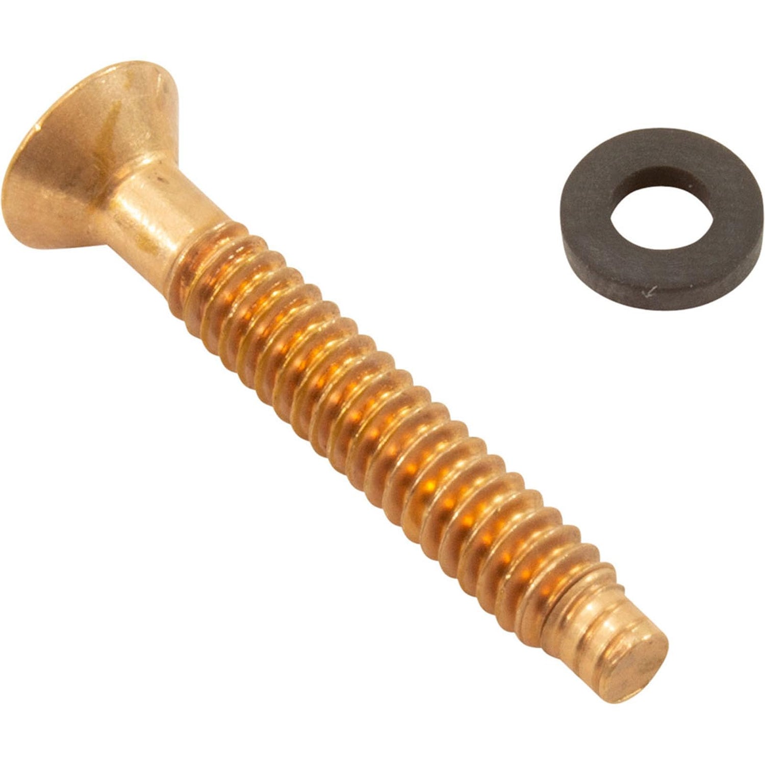 Pentair Pilot Screw W/Gum Washer | 79104800Z