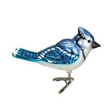 Old World Christmas Ornaments: Bird Watcher Collection Glass Blown Ornaments for Christmas Tree,Bright Blue Jay
