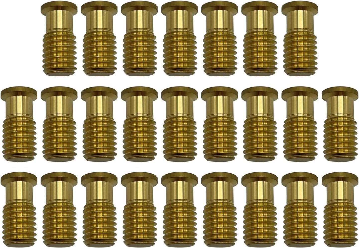 Poolzilla Threaded Brass Screw for Anchor