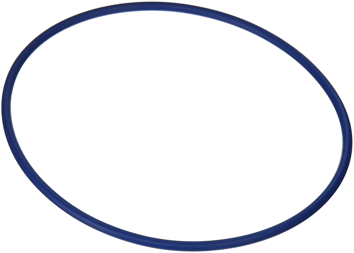 Hayward Valve/ Tank O-Ring | GMX600F