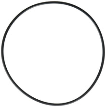 Hayward O-Ring | SPX0704F