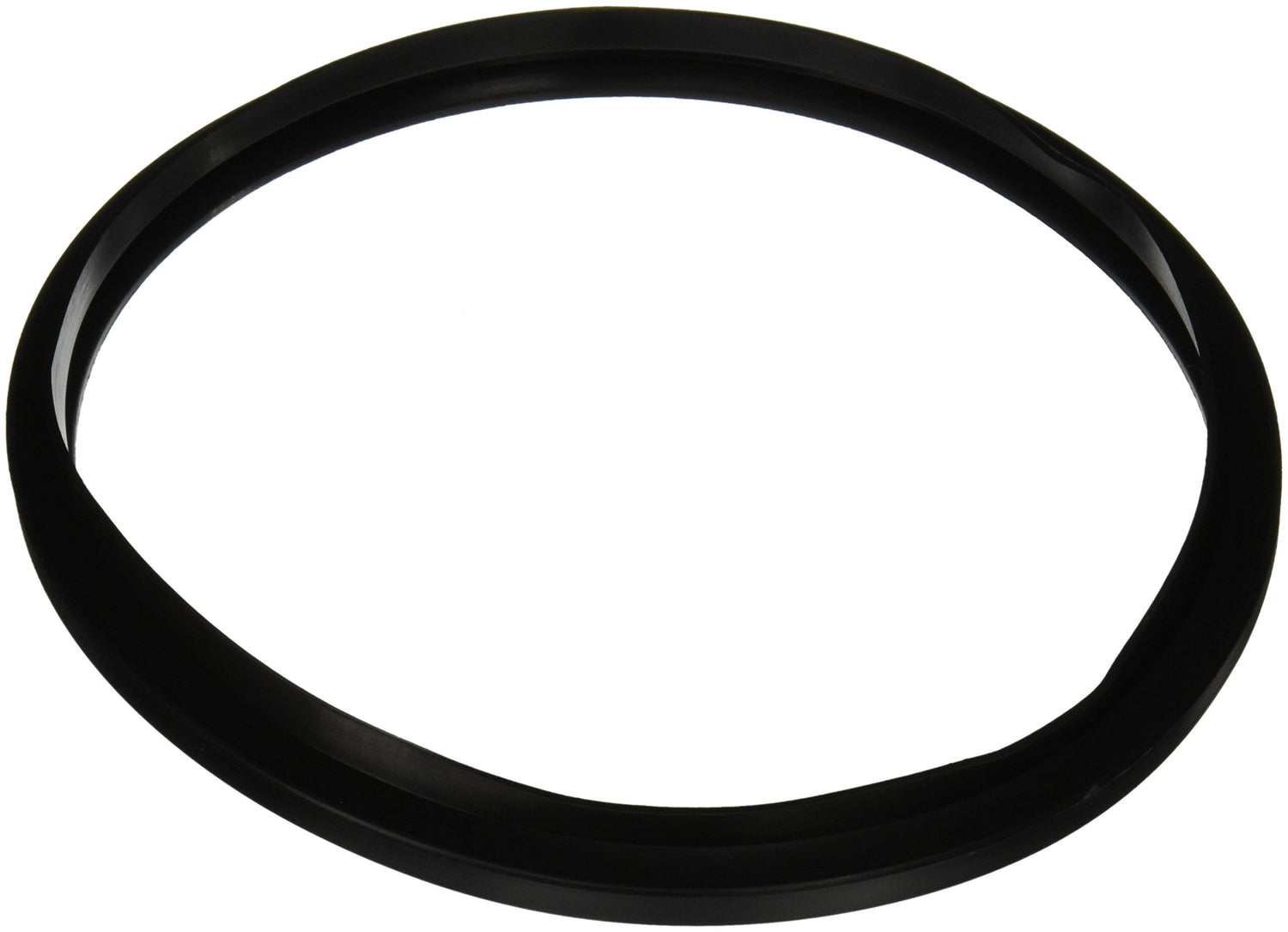 Hayward Star-Clear Filter Gasket | CX250F