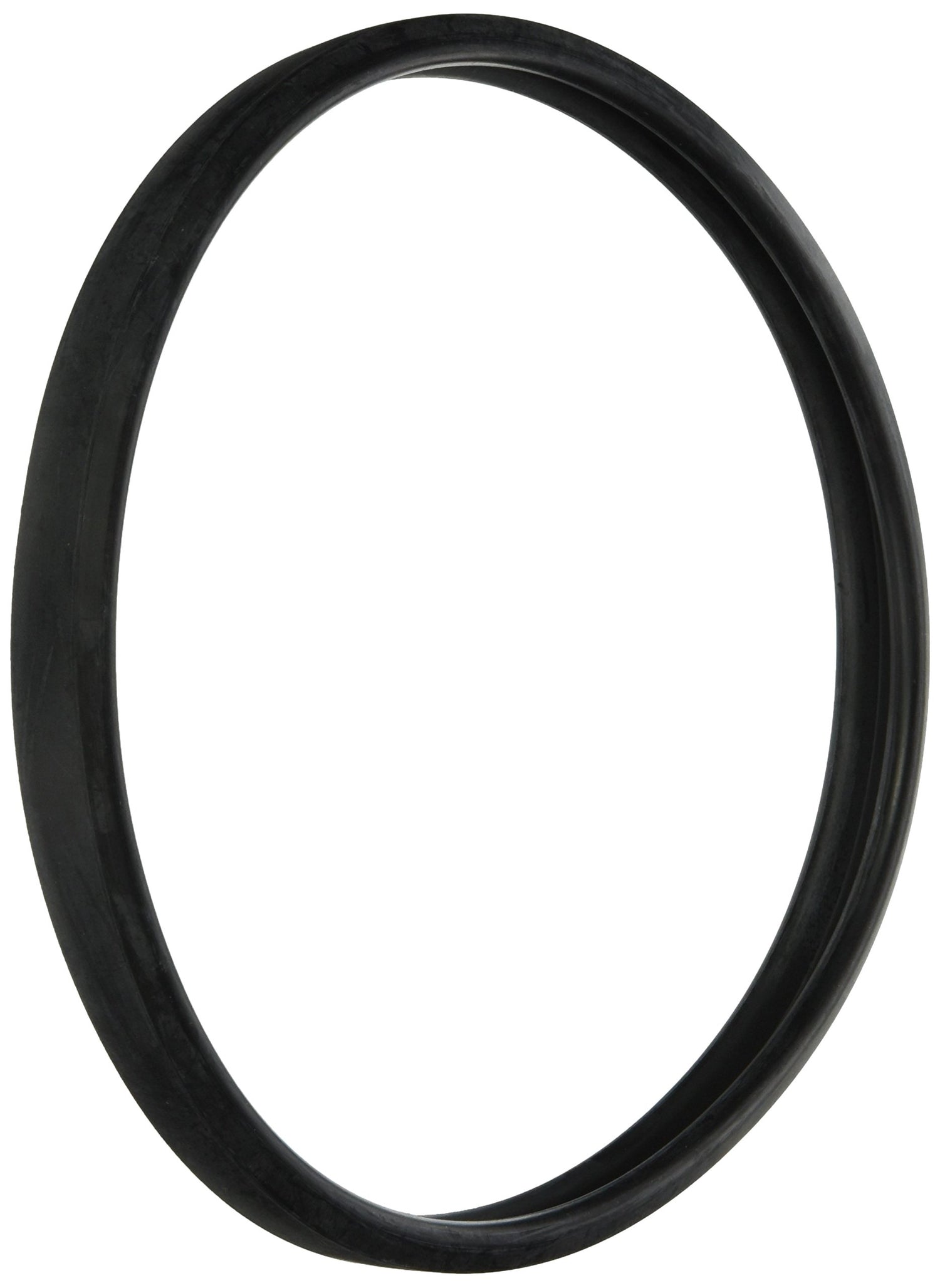 Hayward Underwater Light Hi-Temp Lens Gasket | SPX0503W