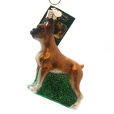 Old World Christmas Pembroke Welsh Corgi Glass Blown Ornament for Christmas Tree, Handcrafted Holiday Decoration, Dog Collection