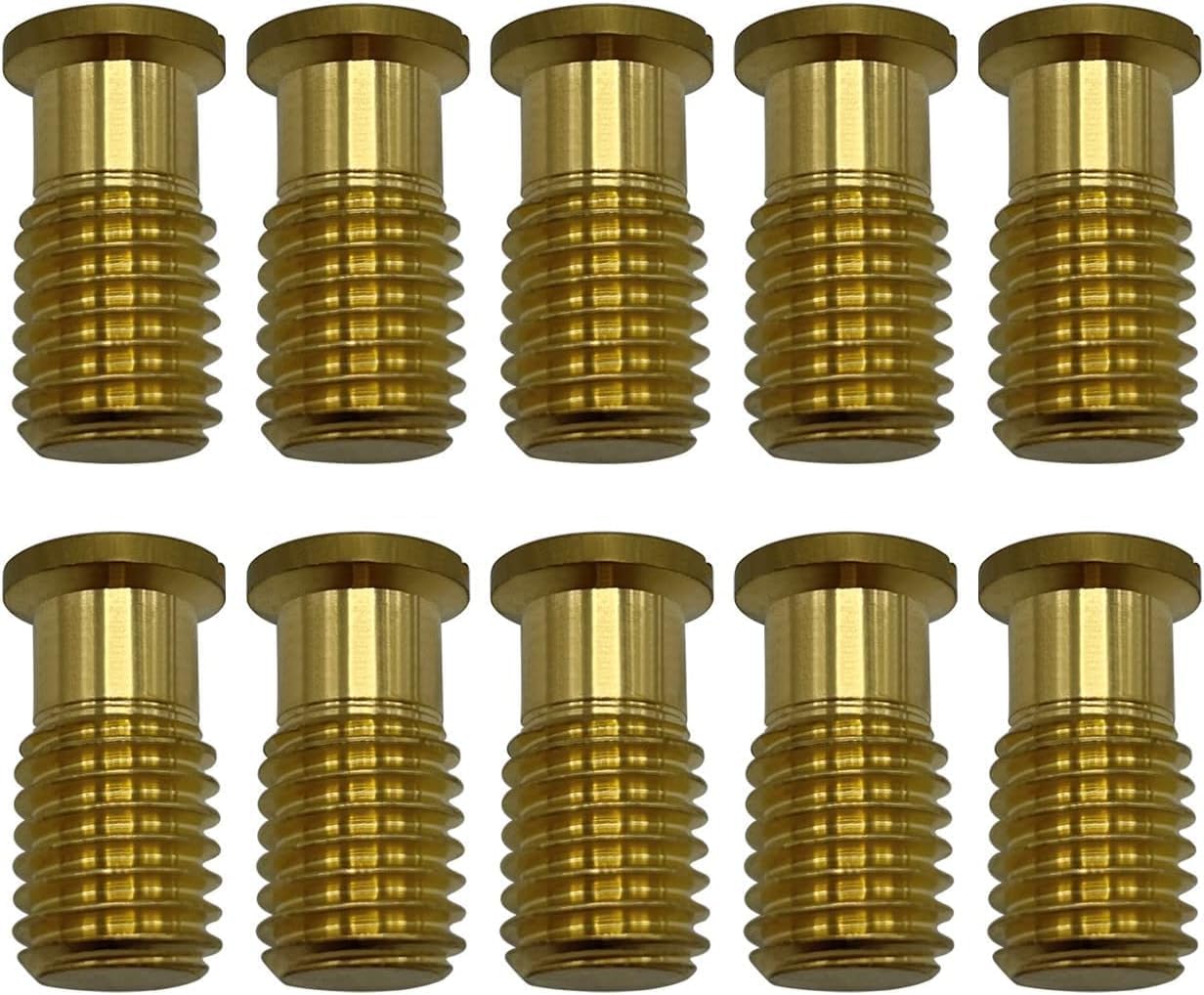 Poolzilla Threaded Brass Screw for Anchor