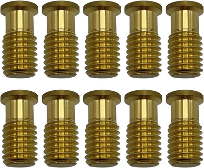 Poolzilla Threaded Brass Screw for Anchor