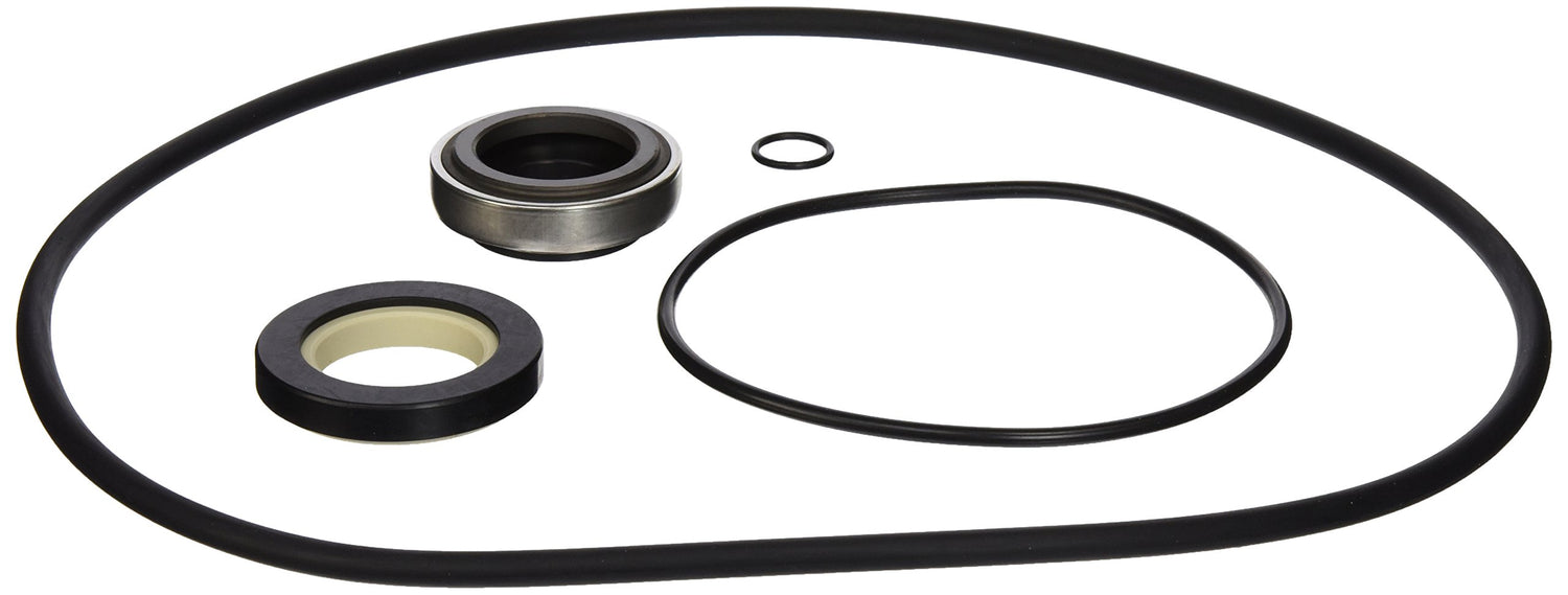 Hayward Internal Seal Kit | HCXP6004A