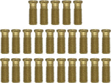 Poolzilla 1-1/2" Extended Brass Screw for Pool Cover Anchor