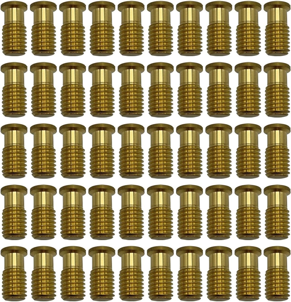 Poolzilla Threaded Brass Screw for Anchor