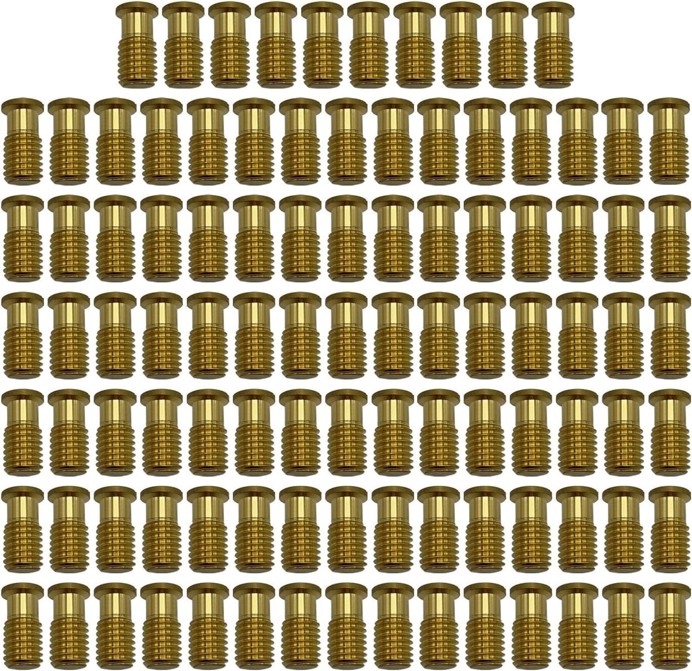 Poolzilla Threaded Brass Screw for Anchor