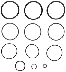 Jandy Pro Series O-Ring Kit Filter | R0358000