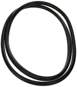 Jandy Pro Series O-Ring, Center Strap | R0357800
