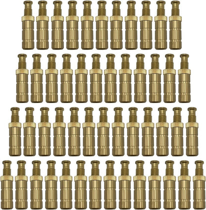 Poolzilla 2'' Pool Safety Cover Brass Extended Anchors for Concrete and Pavers