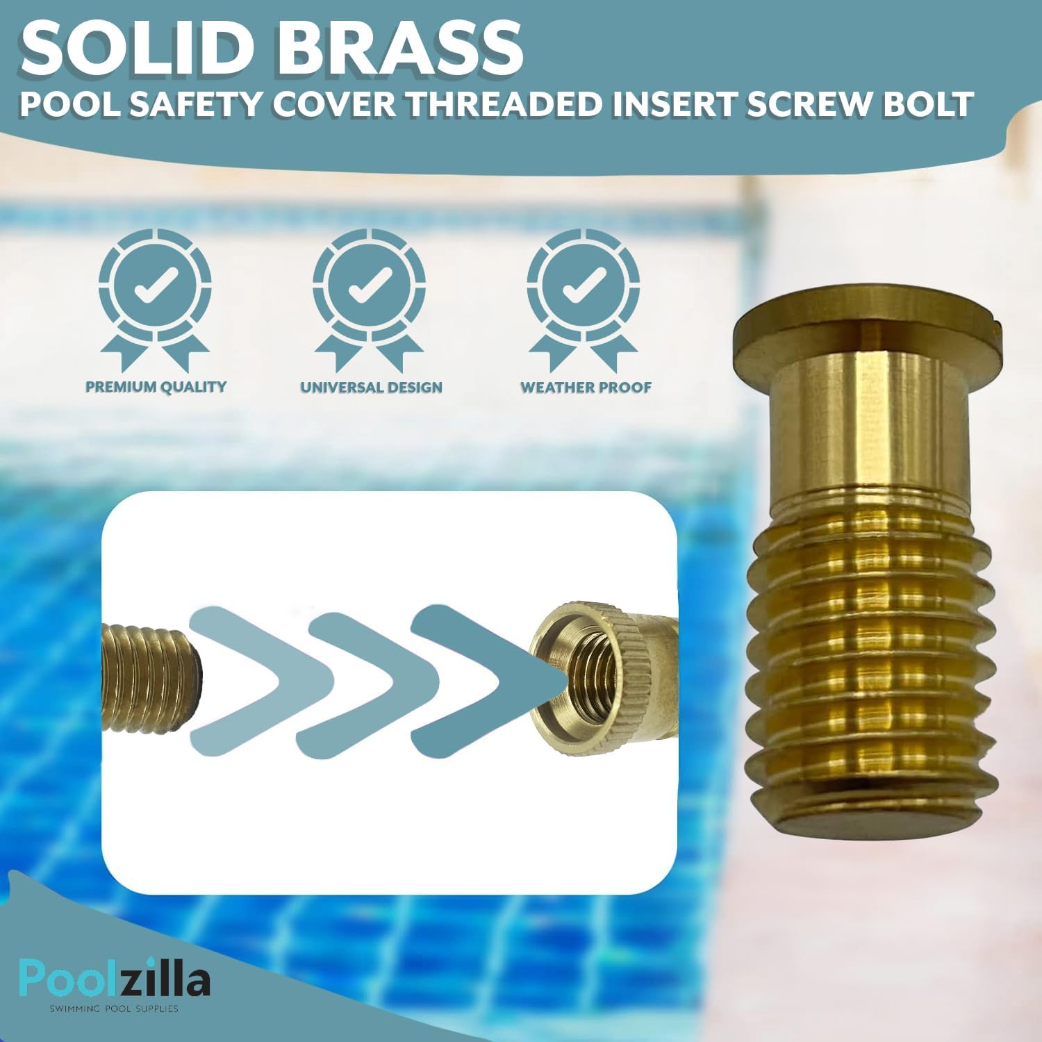 Poolzilla Threaded Brass Screw for Anchor