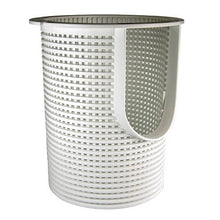 Pentair Bskt Strnr Eq Plstc | 357184
