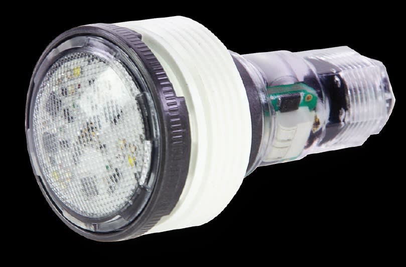Pentair MicroBrite Warm White LED Light 12V, 100 Cord