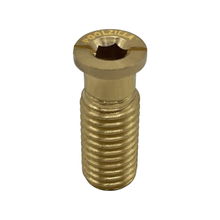 Poolzilla 1-1/2" Extended Brass Screw for Pool Cover Anchor