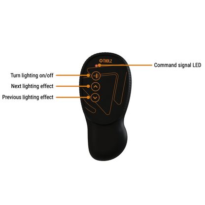 Tholz® Pool Light Control Pro V2 - Automation