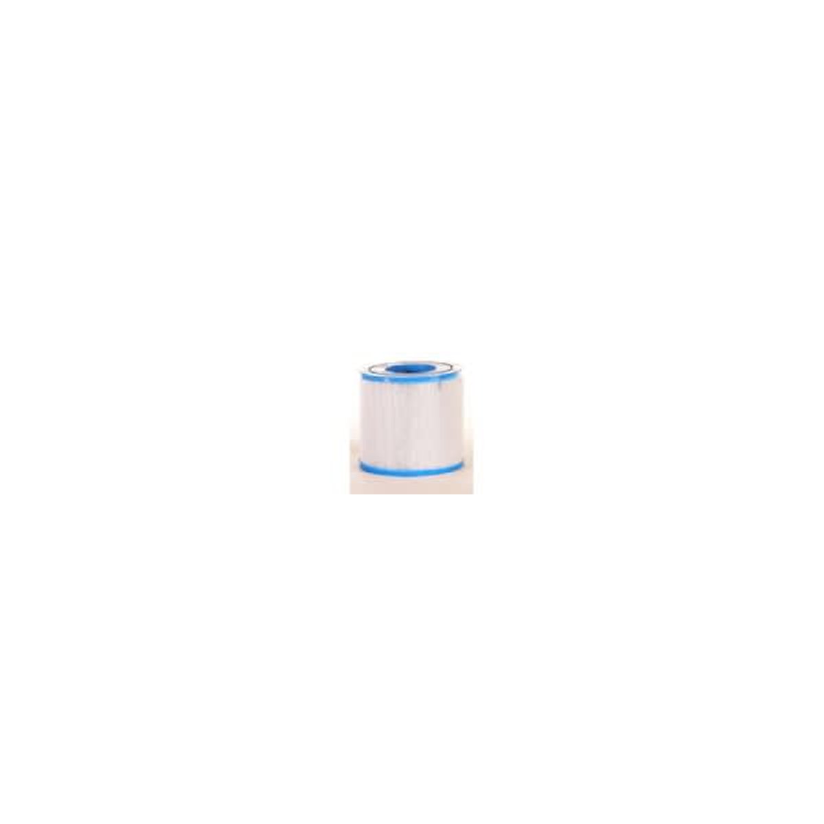 Unicel C-4317 Replacement Filter Cartridge for Intex Type S1