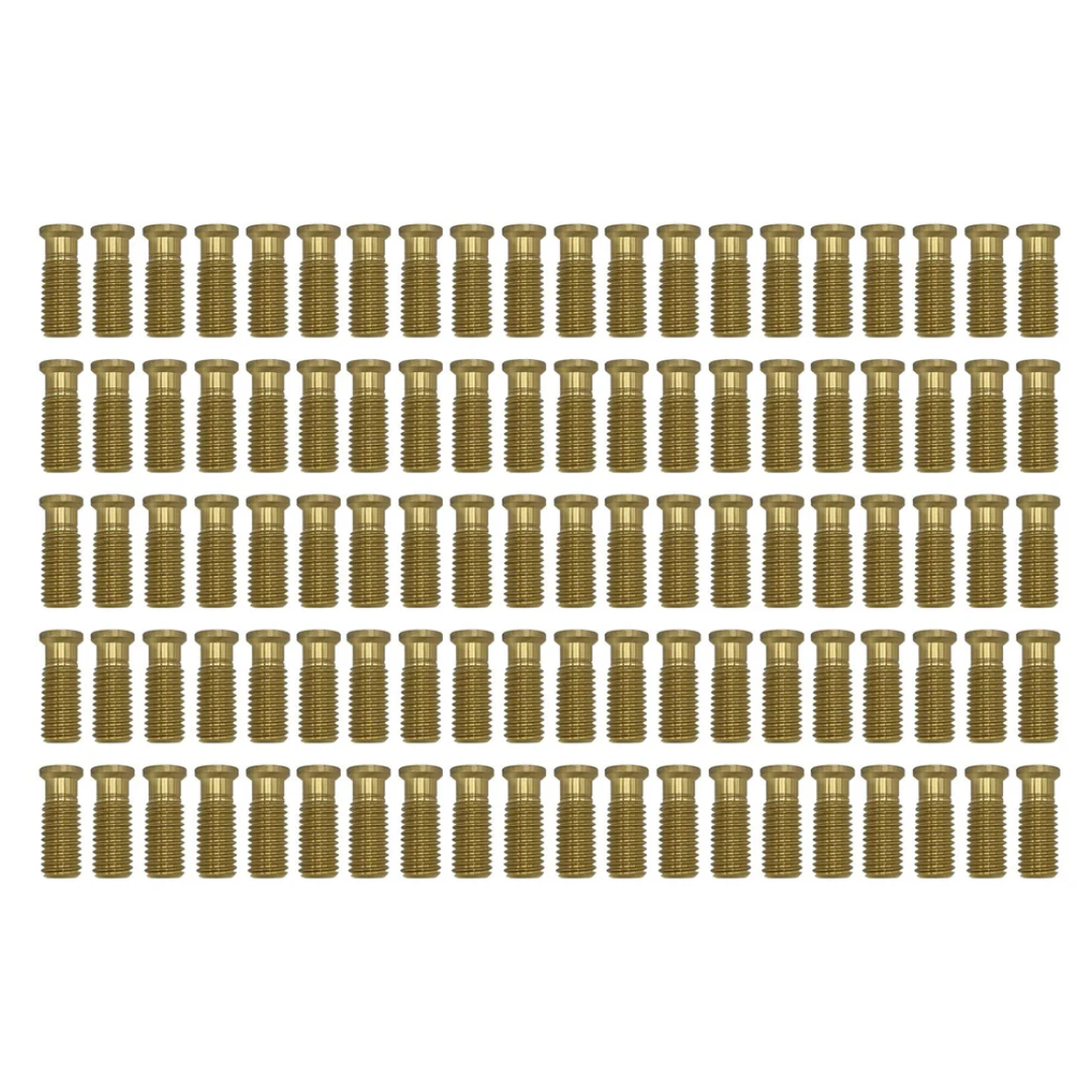 Poolzilla 1-1/2" Extended Brass Screw for Pool Cover Anchor